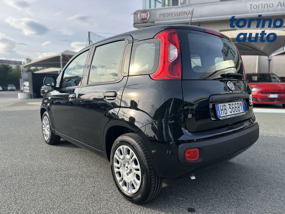 Fiat Panda Cross nuova a Torino (5)