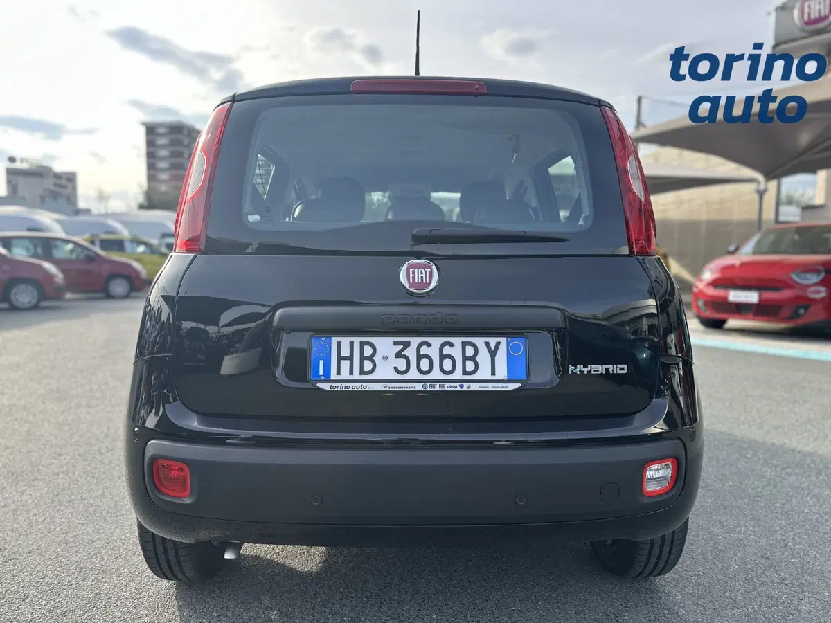 Fiat Panda Cross nuova a Torino (6)