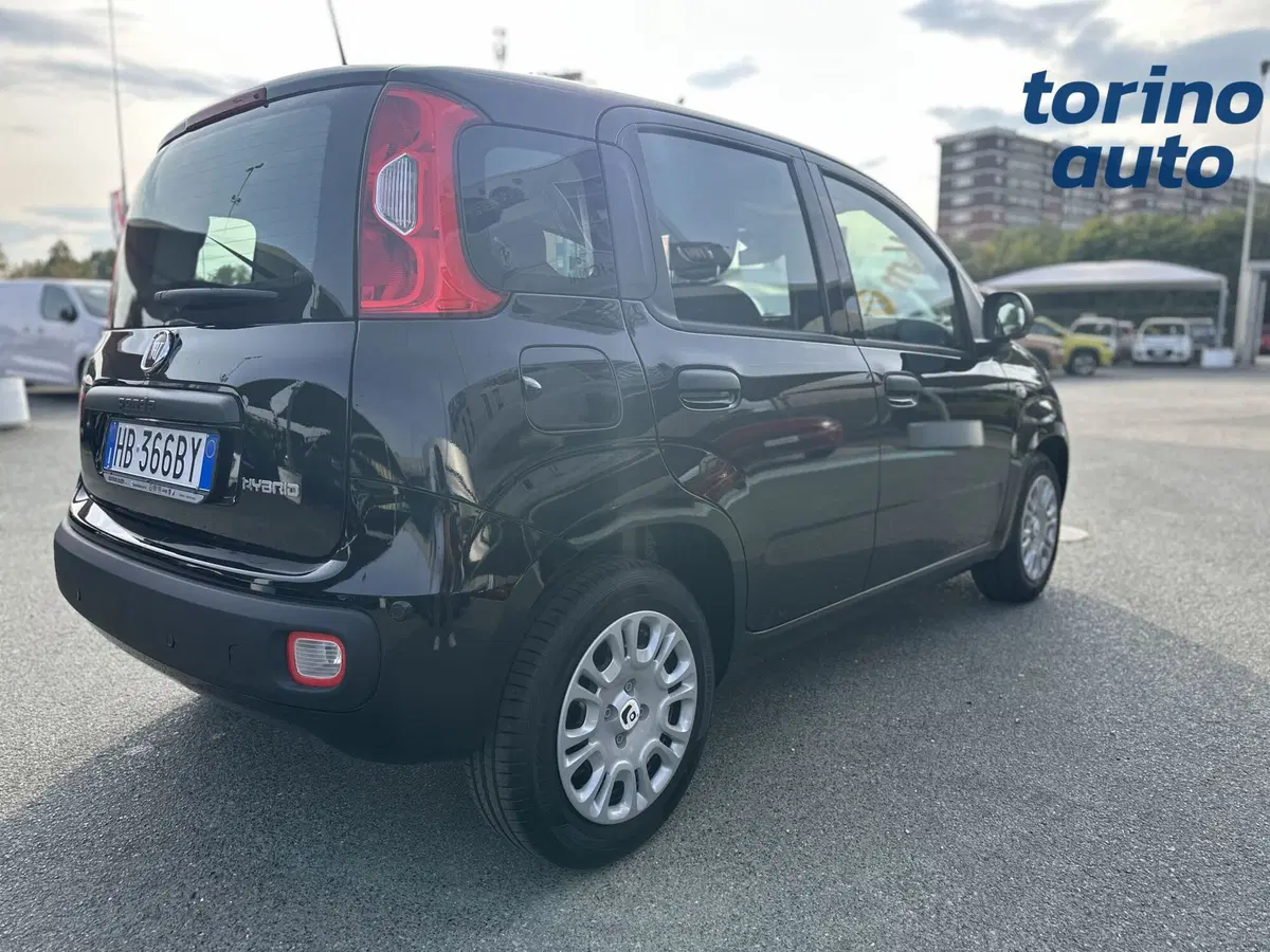 Fiat Panda Cross nuova a Torino (7)