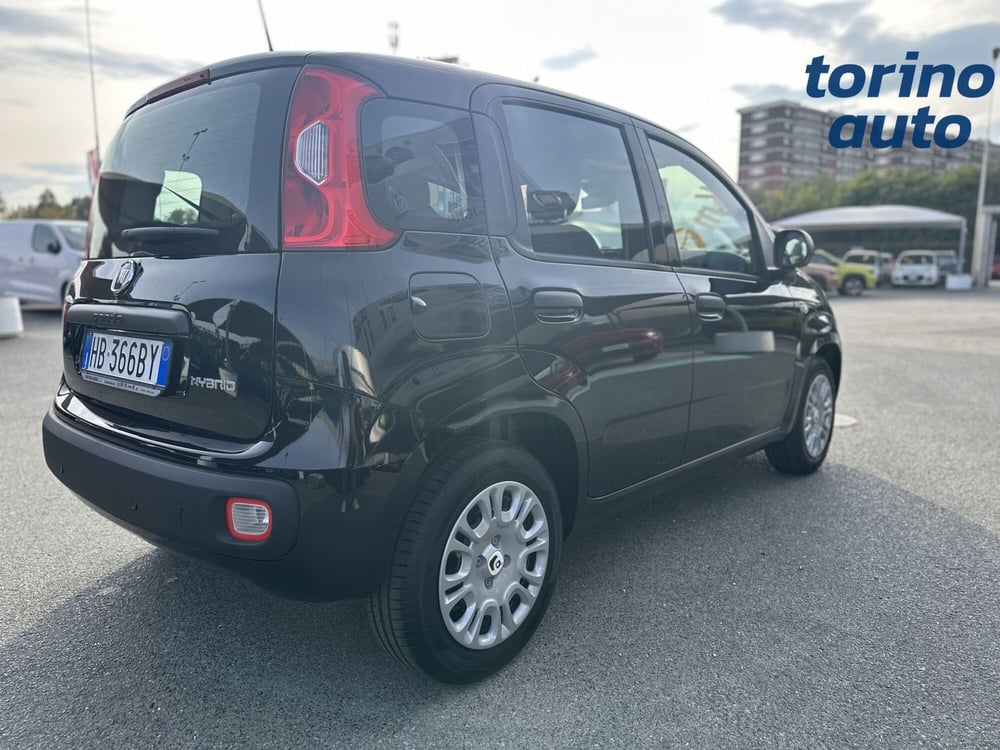 Fiat Panda Cross nuova a Torino (7)