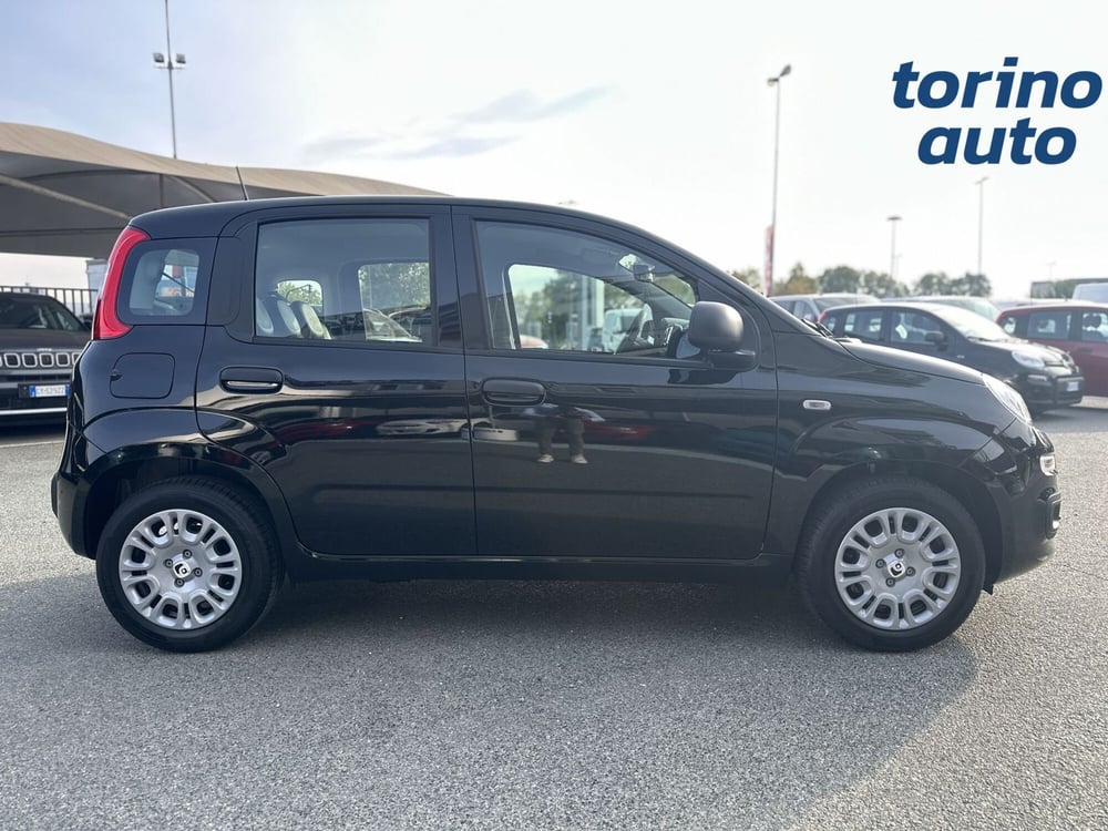 Fiat Panda Cross nuova a Torino (8)