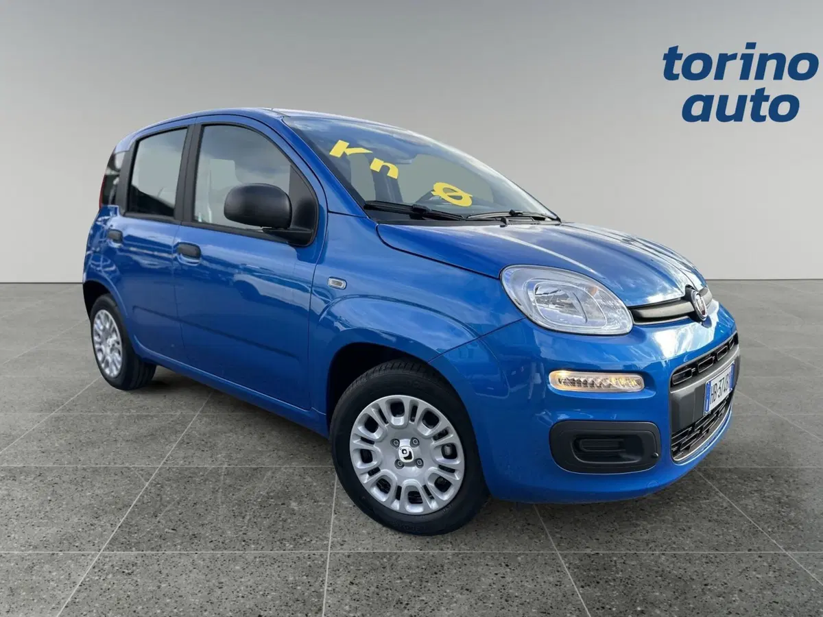 Fiat Panda Cross nuova a Torino