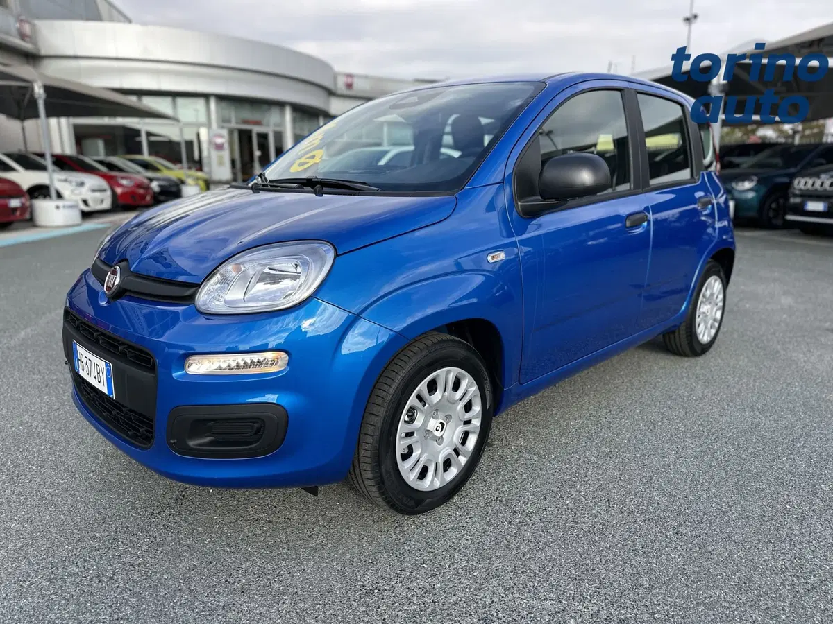 Fiat Panda Cross nuova a Torino (3)
