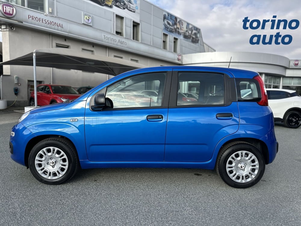 Fiat Panda Cross nuova a Torino (4)
