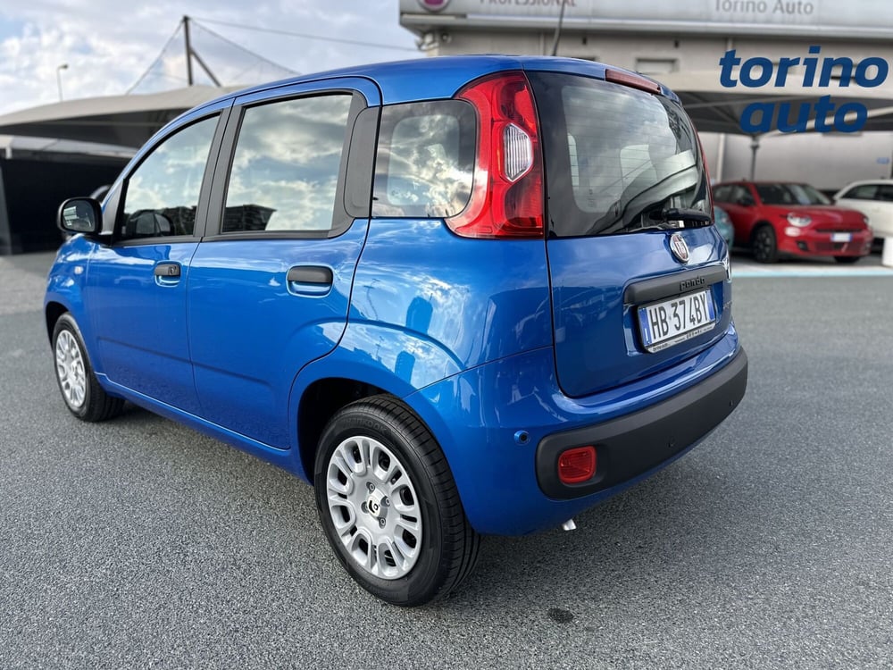 Fiat Panda Cross nuova a Torino (5)