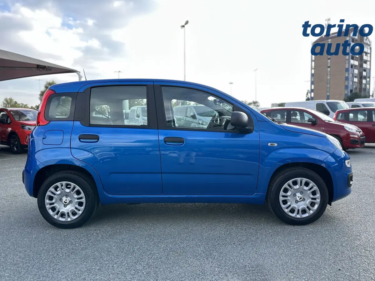 Fiat Panda Cross nuova a Torino (8)