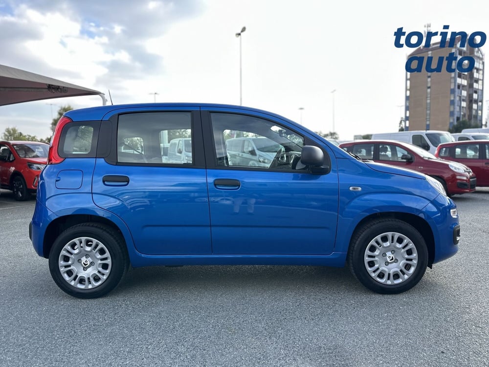 Fiat Panda Cross nuova a Torino (8)