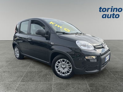 Fiat Panda 1.0 FireFly S&amp;S Hybrid Easy nuova a Torino