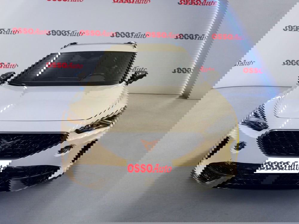 Cupra Formentor usata a Udine (5)