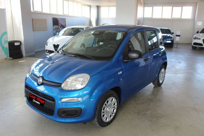Fiat Panda 1.0 firefly hybrid Icon s&amp;s 70cv nuova a Orvieto