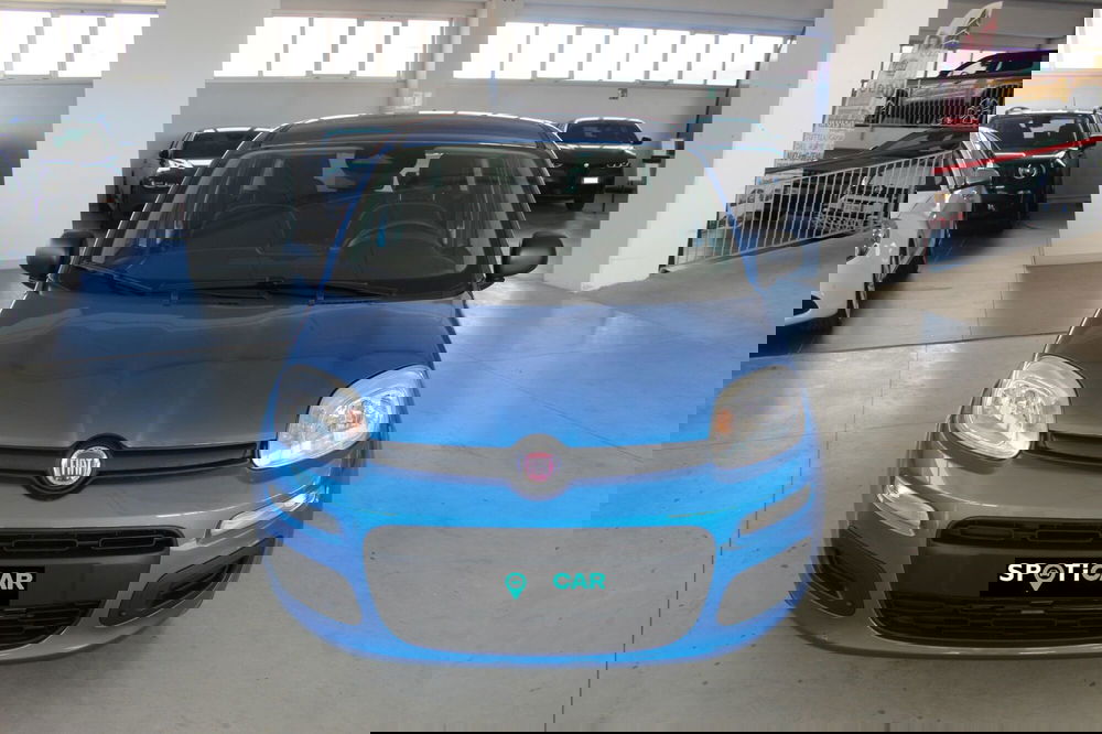 Fiat Panda nuova a Terni (2)