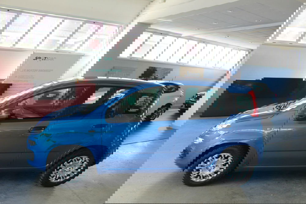 Fiat Panda nuova a Terni (3)