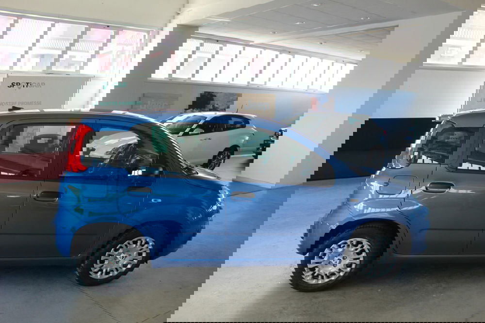 Fiat Panda nuova a Terni (6)