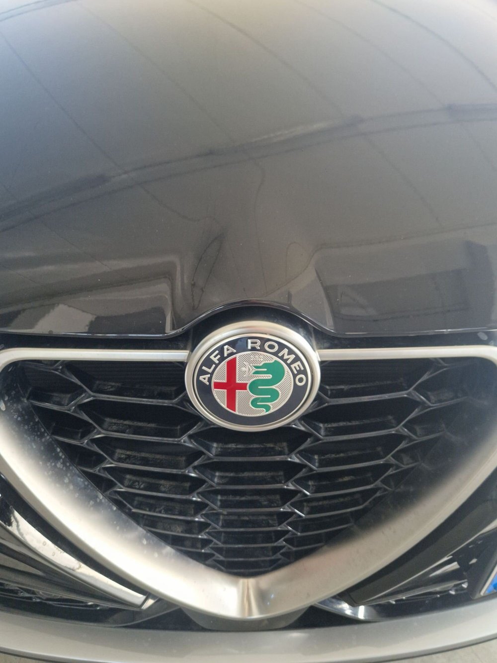 Alfa Romeo Tonale usata a Terni (16)