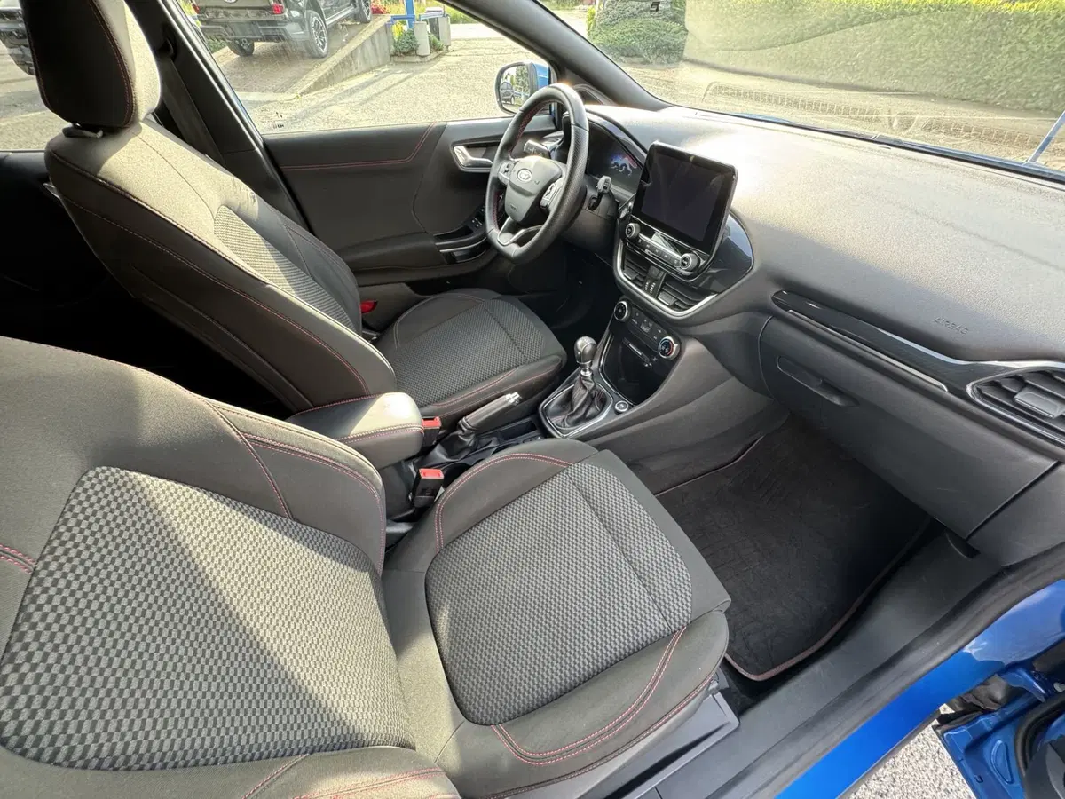 Ford Puma usata a Torino (15)