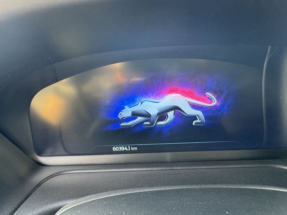Ford Puma usata a Torino (16)