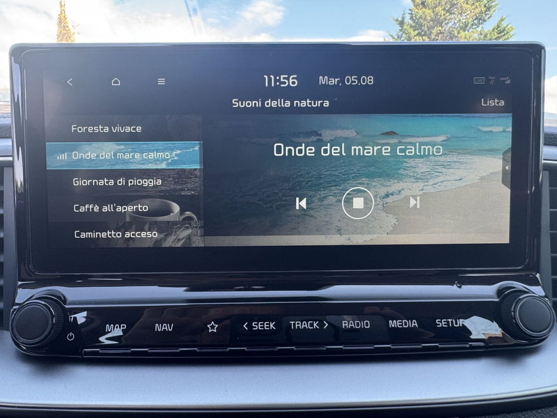Kia Ceed Sport Wagon usata a Torino (20)