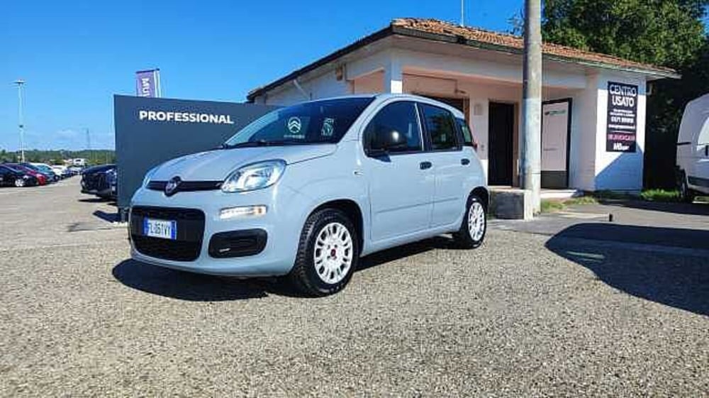 Fiat Panda usata a Firenze