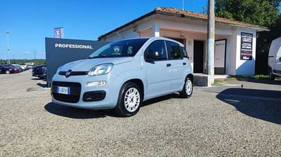 Fiat Panda 1.2 Easy del 2017 usata a Empoli
