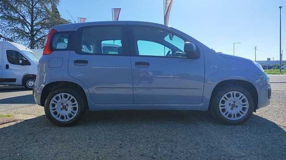 Fiat Panda usata a Firenze (10)