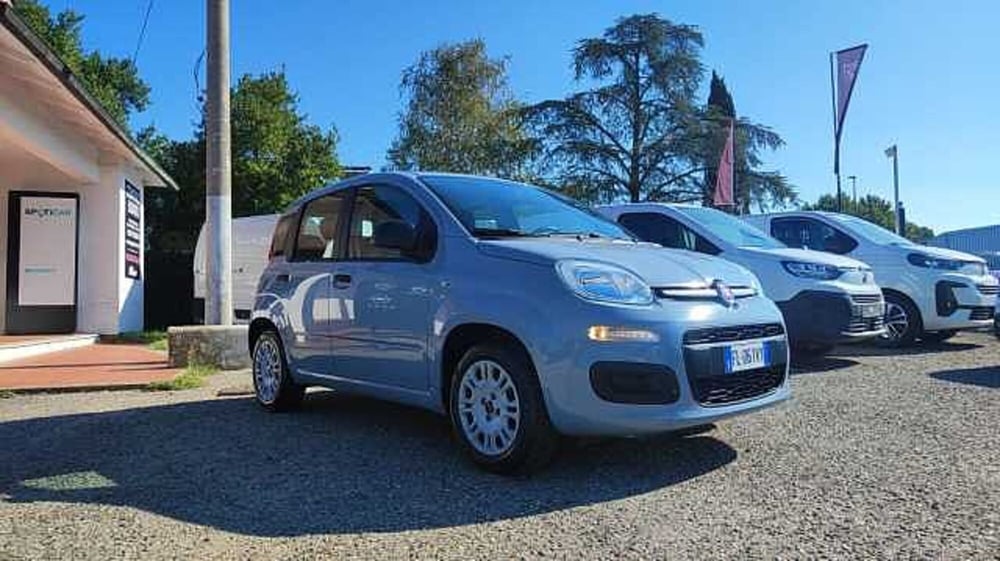 Fiat Panda usata a Firenze (13)