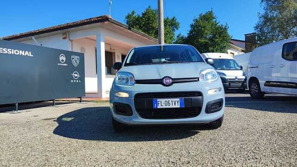 Fiat Panda usata a Firenze (14)