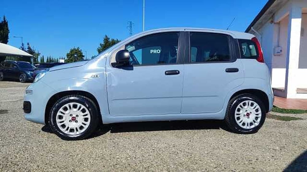 Fiat Panda usata a Firenze (3)