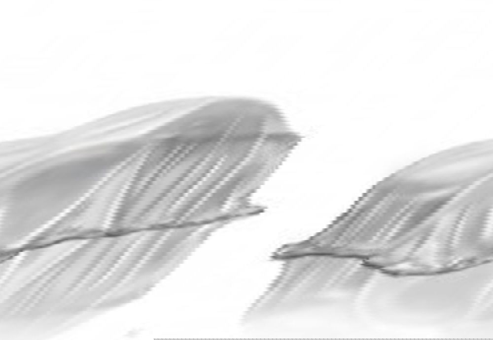 BMW X3 nuova a Torino (4)