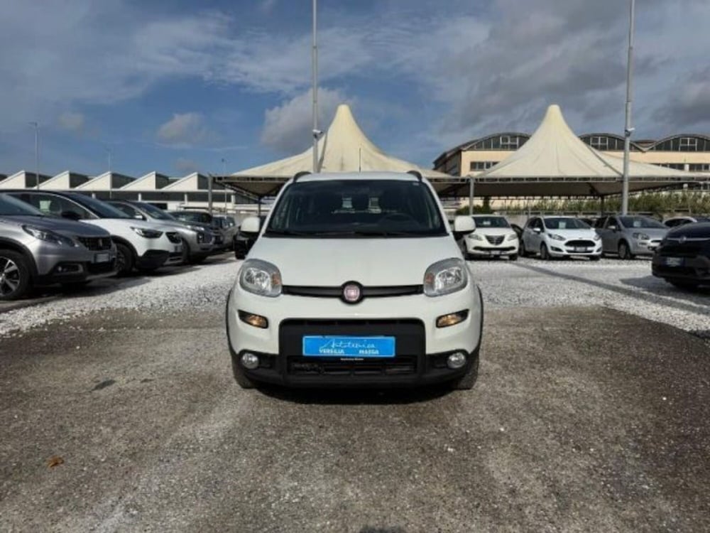 Fiat Panda usata a Massa-Carrara (3)