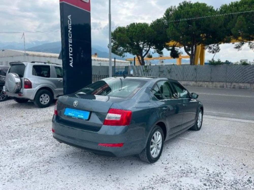 Skoda Octavia usata a Massa-Carrara (4)