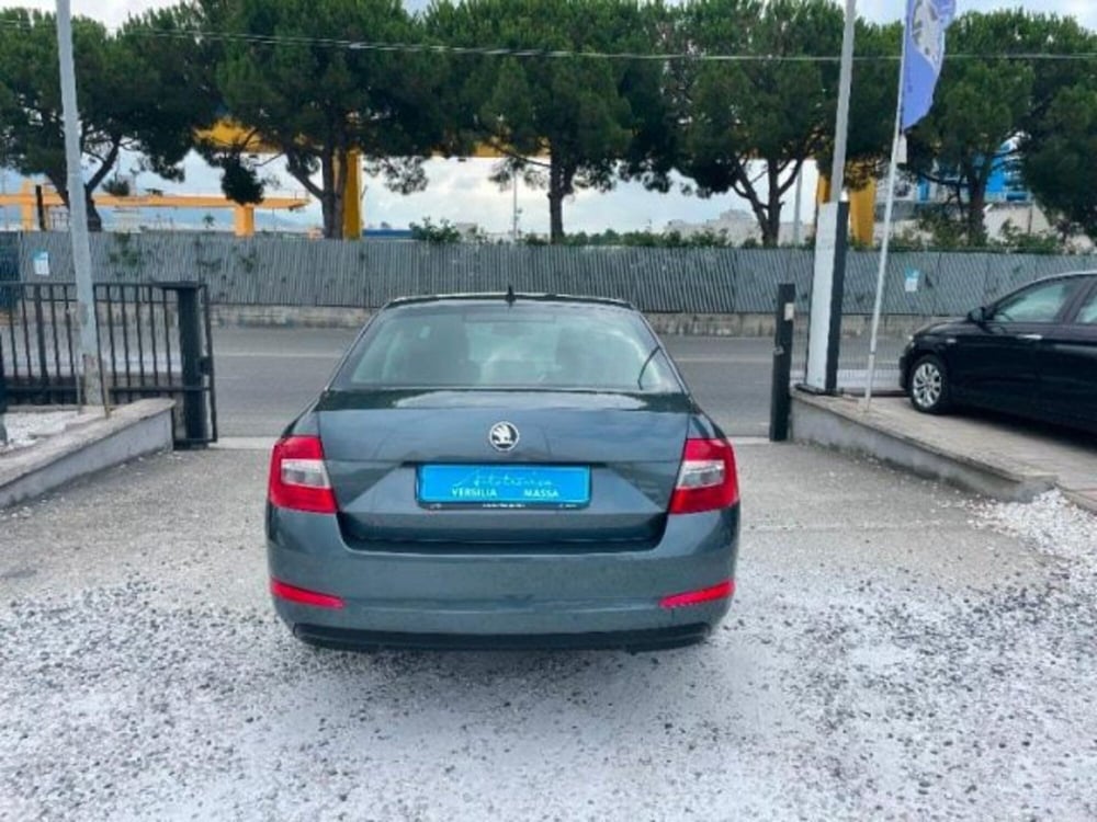 Skoda Octavia usata a Massa-Carrara (5)