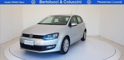 Volkswagen Polo 1.6 TDI DPF 5 porte Comfortline del 2009 usata a Massarosa