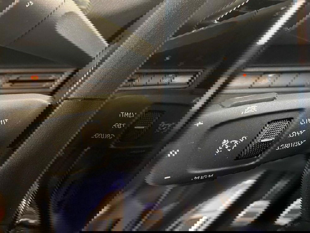 Peugeot 3008 usata a Torino (13)