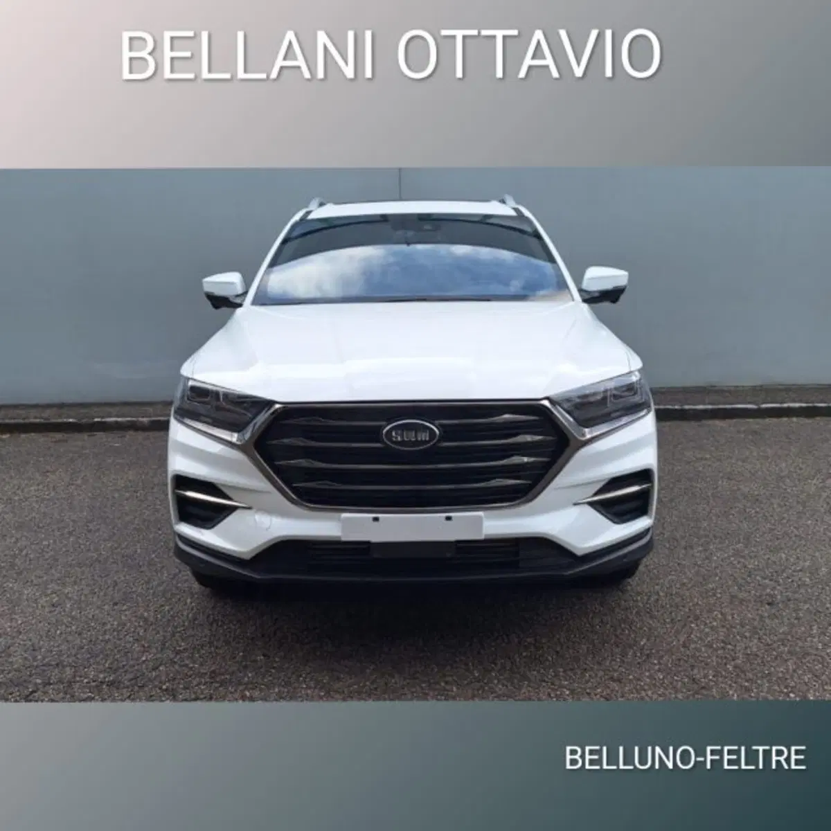 SWM G01 nuova a Belluno (5)