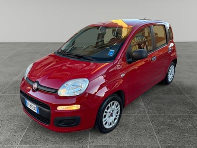 Fiat Panda 1.2 EasyPower Easy del 2015 usata a Cirie&#039;