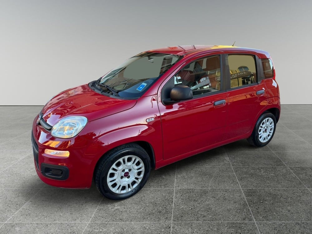Fiat Panda usata a Torino (6)