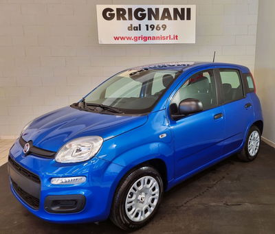 Fiat Panda Cross Cross 1.0 FireFly S&amp;S Hybrid nuova a Cava Manara