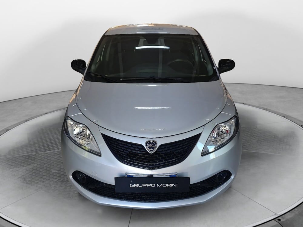 Lancia Ypsilon usata a Bologna (2)
