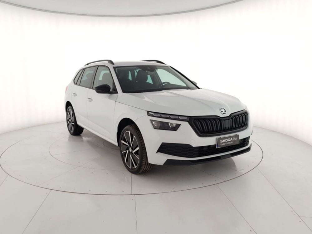 Skoda Kamiq usata a Massa-Carrara (4)