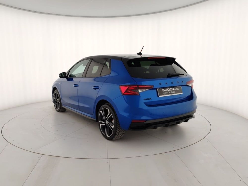 Skoda Fabia usata a Massa-Carrara (2)