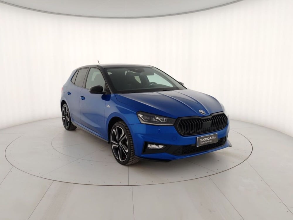 Skoda Fabia usata a Massa-Carrara (4)