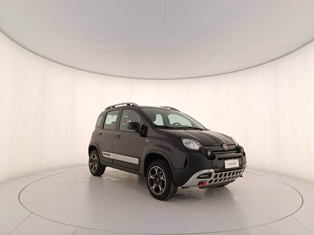 Fiat Panda usata a Treviso (3)