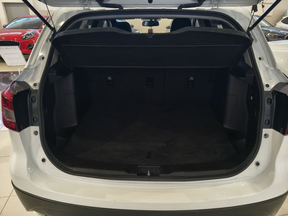 Suzuki S-Cross usata a Vercelli (5)