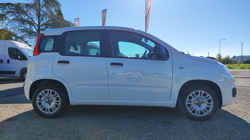 Fiat Panda usata a Firenze (10)