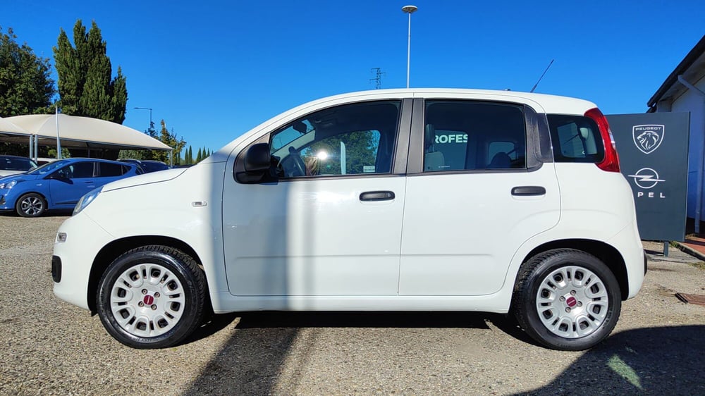 Fiat Panda usata a Firenze (3)