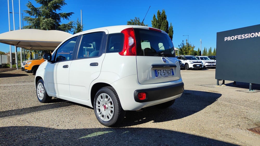 Fiat Panda usata a Firenze (6)
