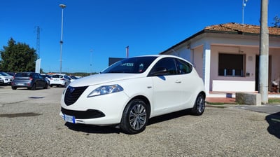 Lancia Ypsilon 1.2 69 CV 5 porte Elefantino del 2015 usata a Empoli