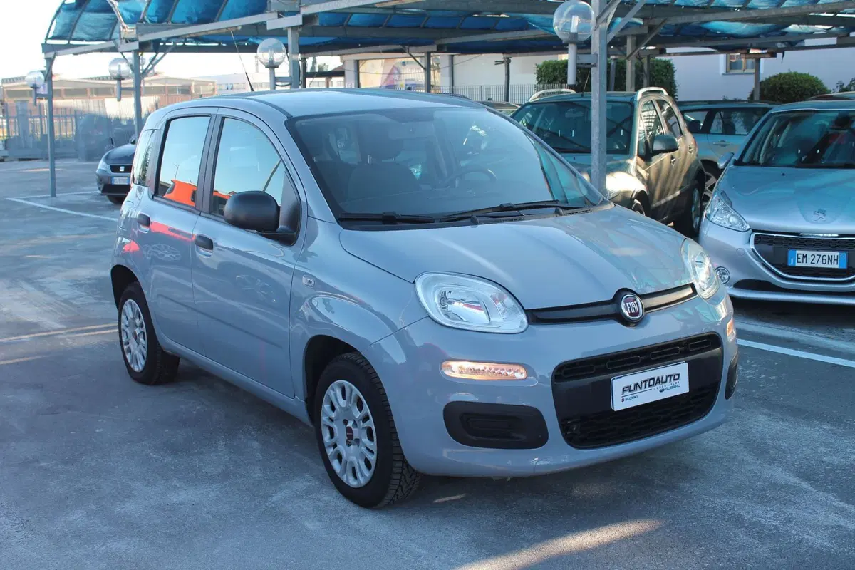 Fiat Panda usata a Cuneo (5)