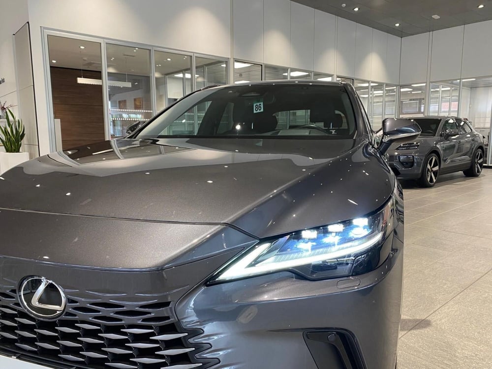 Lexus RX usata a Firenze (10)