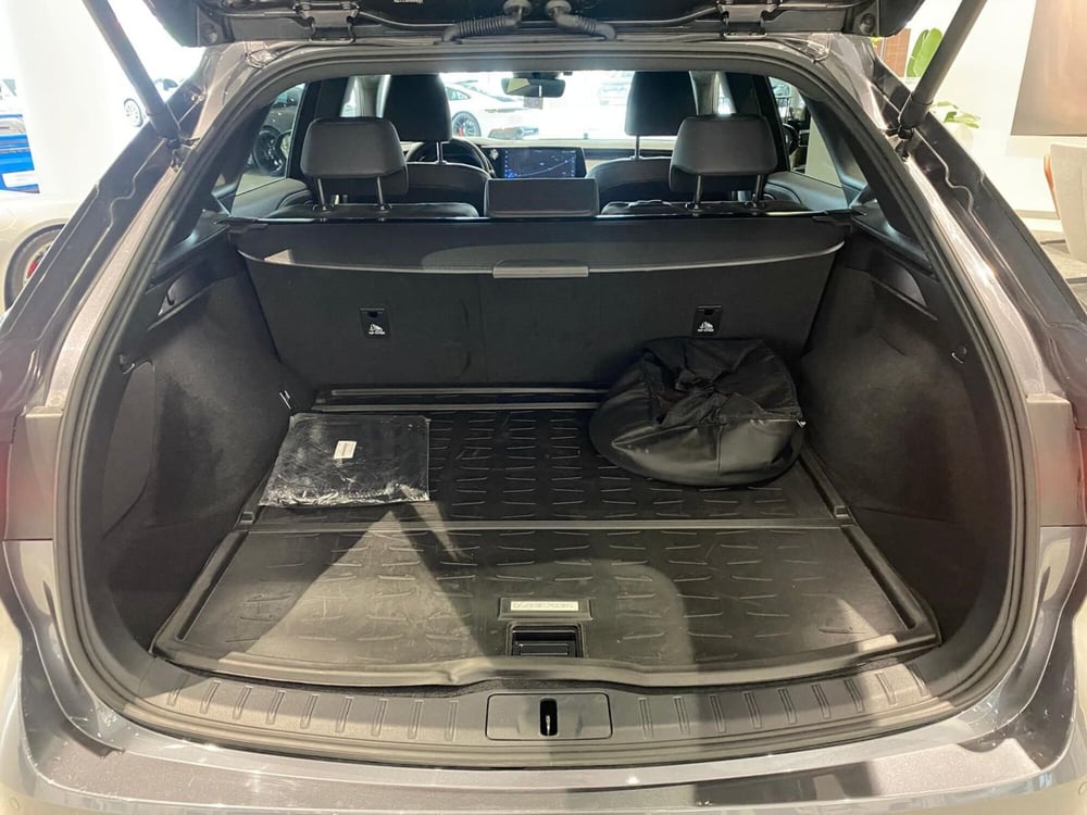 Lexus RX usata a Firenze (11)